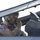 A military pilot is seated in the cockpit of an F-16 Fighting Falcon aircraft with the canopy open. The pilot is wearing full flight gear including a helmet, oxygen mask, flight suit, and gloves, and appears to be adjusting or securing his oxygen mask. A squadron patch on his flight suit displays the F-16 Fighting Falcon insignia with what appears to be UAE (United Arab Emirates) colors.