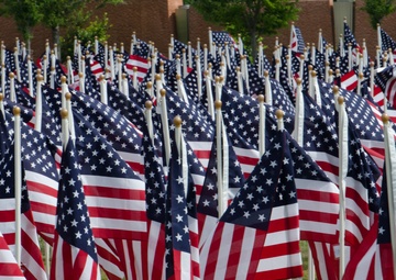 Field of Honor:  USAR sergeant major recognized for service