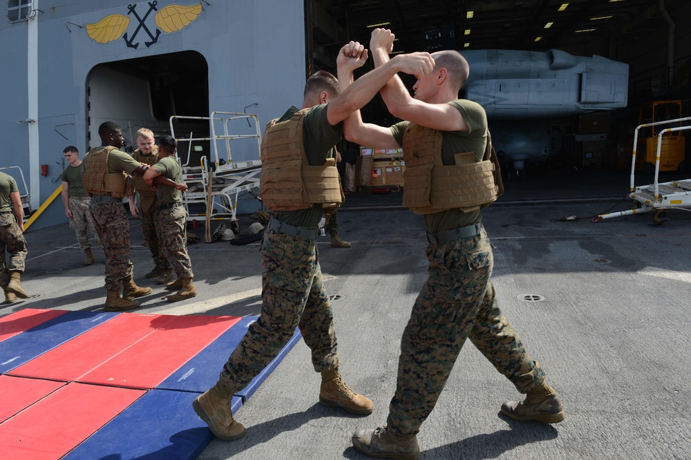 USS Mesa Verde operations