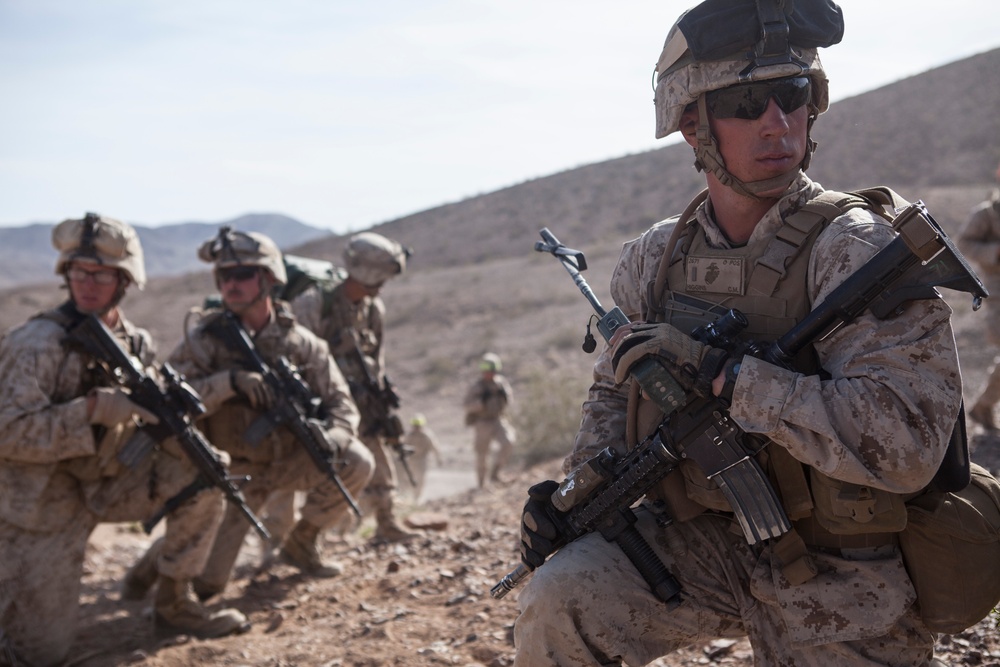 Lima Company Offensive