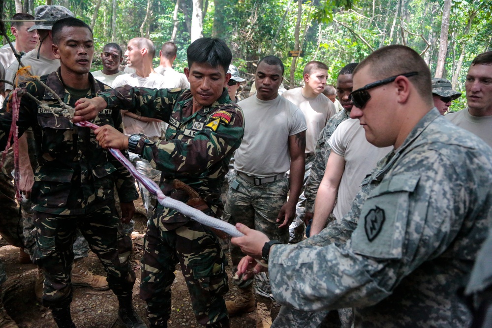 Jungle survival training