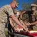 Cake cutting ceremony