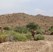 BLT 1/6 conducts patrol operations