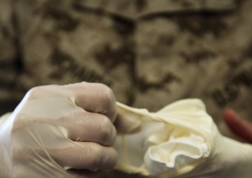 1st Marine Division, Desert Scimitar 2014