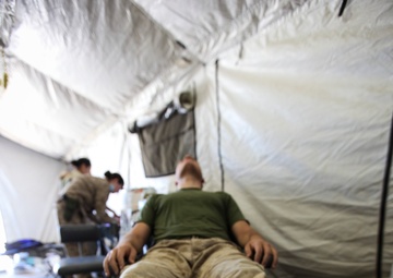 1st Marine Division, Desert Scimitar 2014