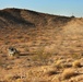 3rd LAR participates in Desert Scimitar