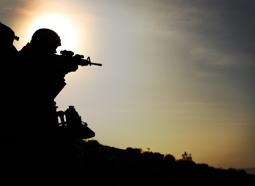 3rd LAR participates in Desert Scimitar