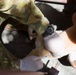 Members of the Armed Forces of the Philippines, Australian Army, and U.S. service members conduct a cooperative health engagement in Rawis province, Philippines