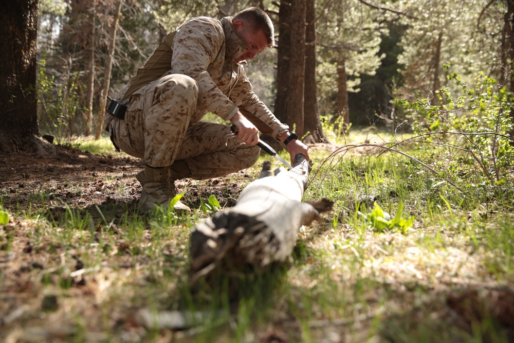 Mountain warfare instructors hone their skills