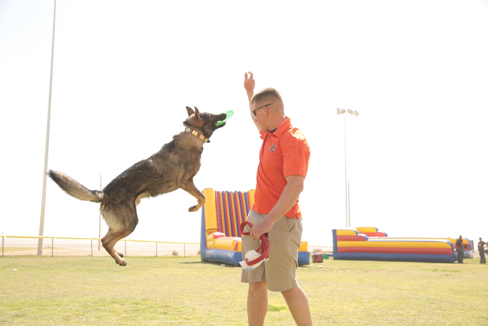 Wardogs take a load-off with Barracks Bash