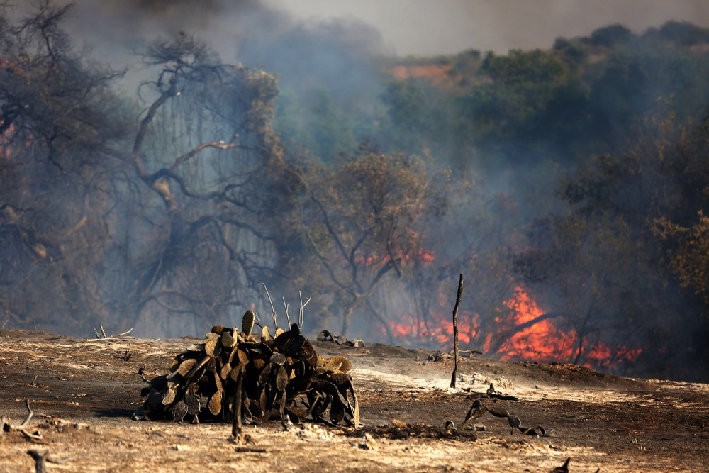 Camp Pendleton fire