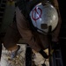 Marines help state emergency personnel fight Cocos fire in southern California