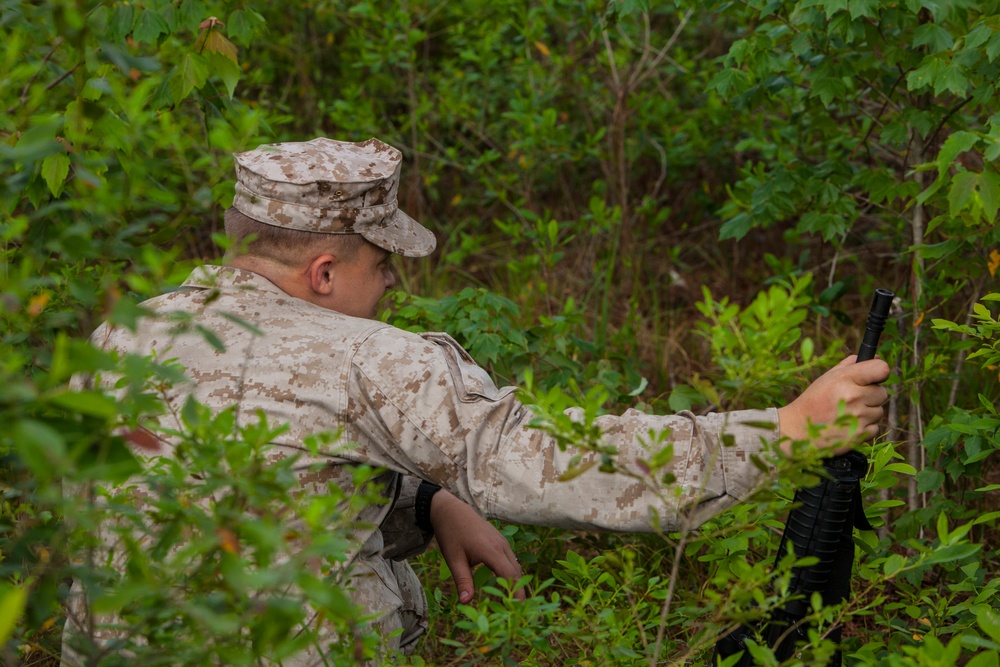 More than rounds down range: 10th Marines, 2nd MLG team up for Rolling Thunder