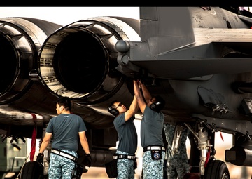 Peace Carvin V: Singapore celebrates 5th anniversary with US Air Force