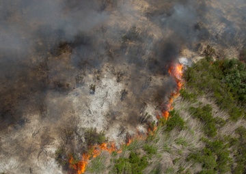 Calif. Wildfires 2014