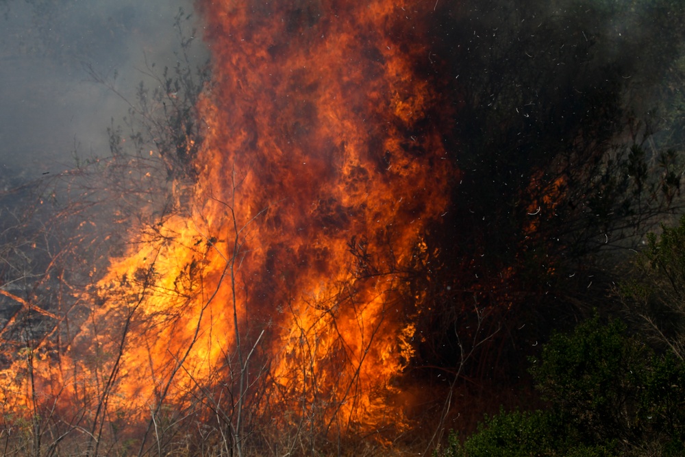 Camp Pendleton Fires