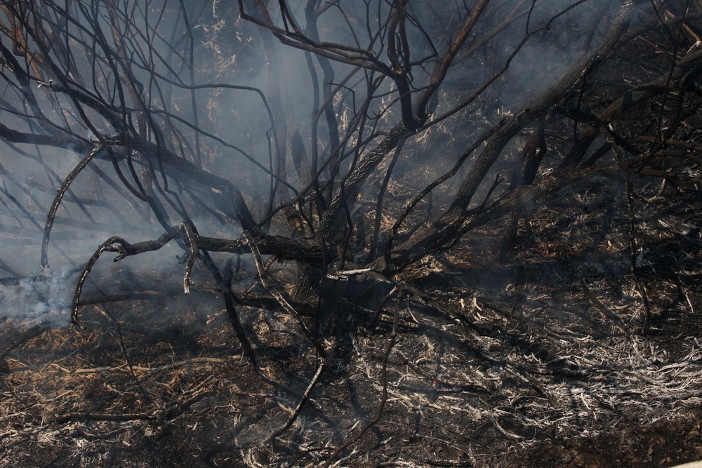 Camp Pendleton Fires