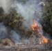 Camp Pendleton Fires