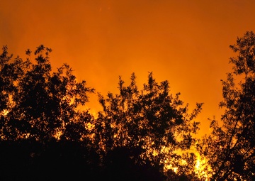 Camp Pendleton Fires