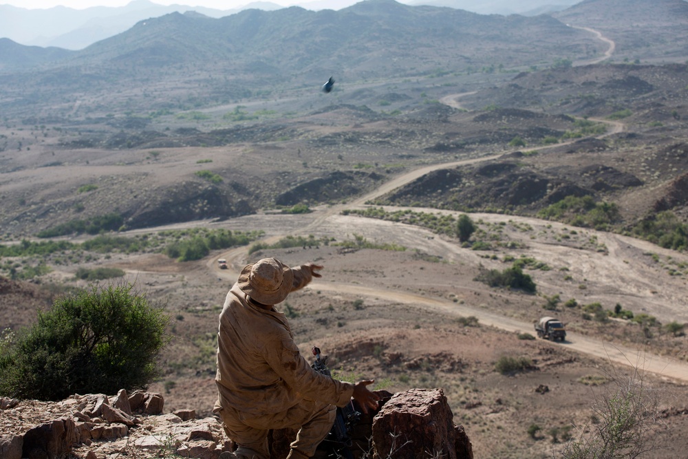 22nd MEU Marines, French soldiers conduct patrolling exercise