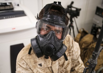 1st Marine Division, Desert Scimitar 2014