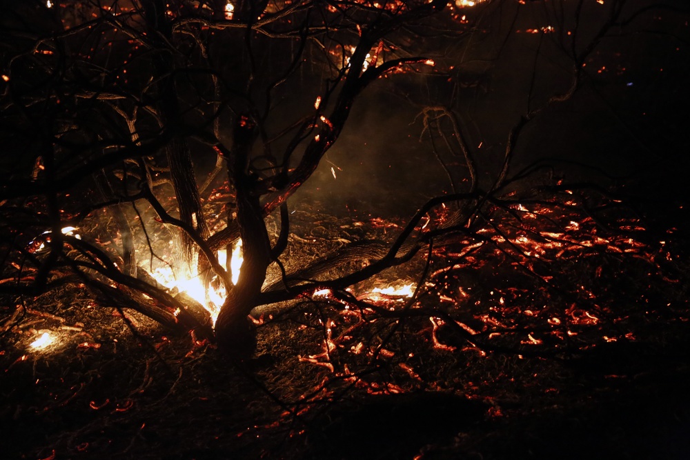 San Diego County Wildfires