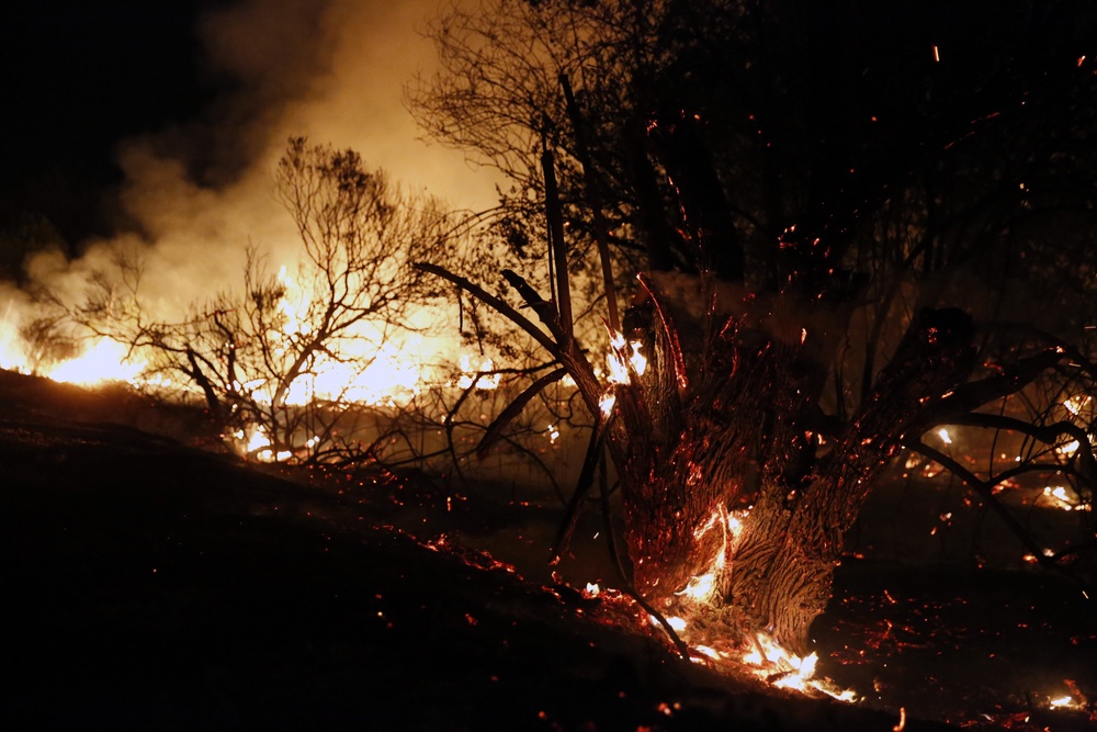 San Diego County Wildfires