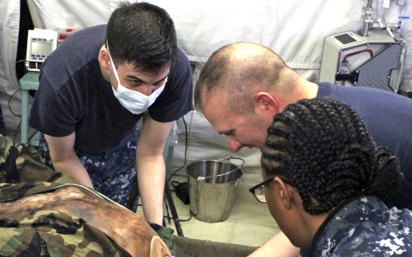 Navy medicine in the field