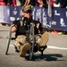 7th Annual Marine Corps Historic Half