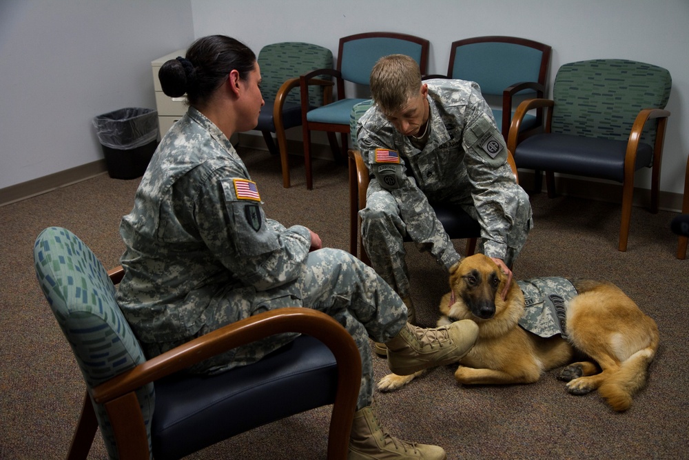 Paws among paratroopers: Therapy dog calms, uplifts and heals