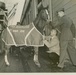 ‘America’s War Horse’ SSgt. Reckless honored, remembered at Triple Crown race