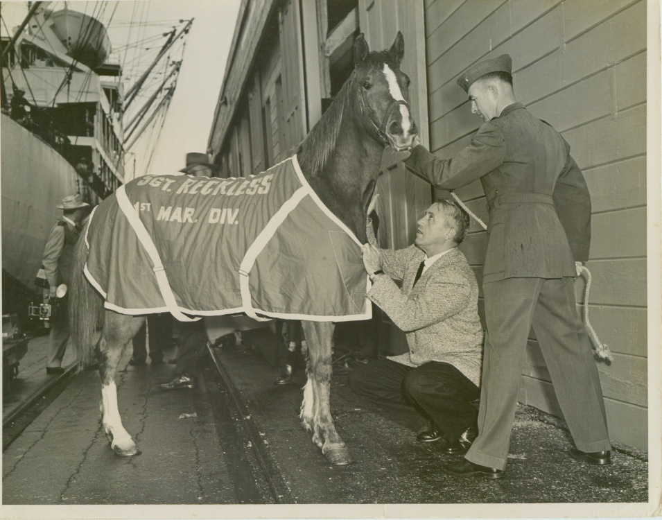‘America’s War Horse’ SSgt. Reckless honored, remembered at Triple Crown race