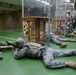 US Army Garrison Benelux on  M16-A2 rifle weapon qualification