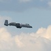 Combined Resolve II, SOF JTAC support A-10 Thunderbolt II jets from Idaho Air National Guard