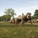 Challenge accepted: Marines battle it out in Commander’s Cup field meet