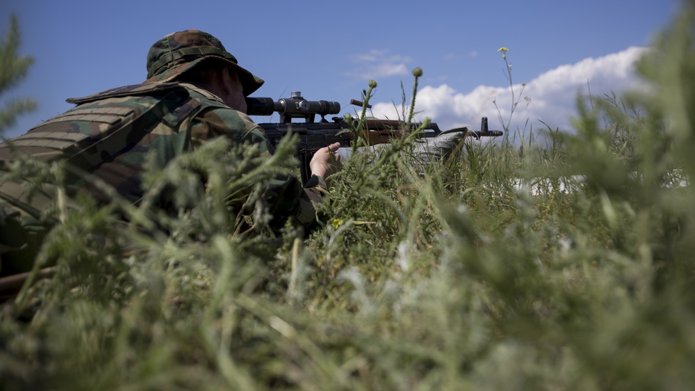 Platinum Eagle Zeros in their Sniper Rifles