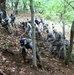 Soldiers lead Korean War remains excavation