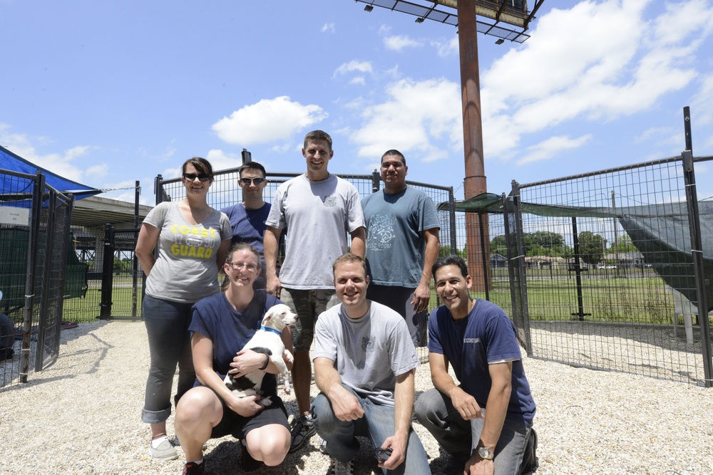 Coast Guard 8th District volunteers at New Orleans SPCA