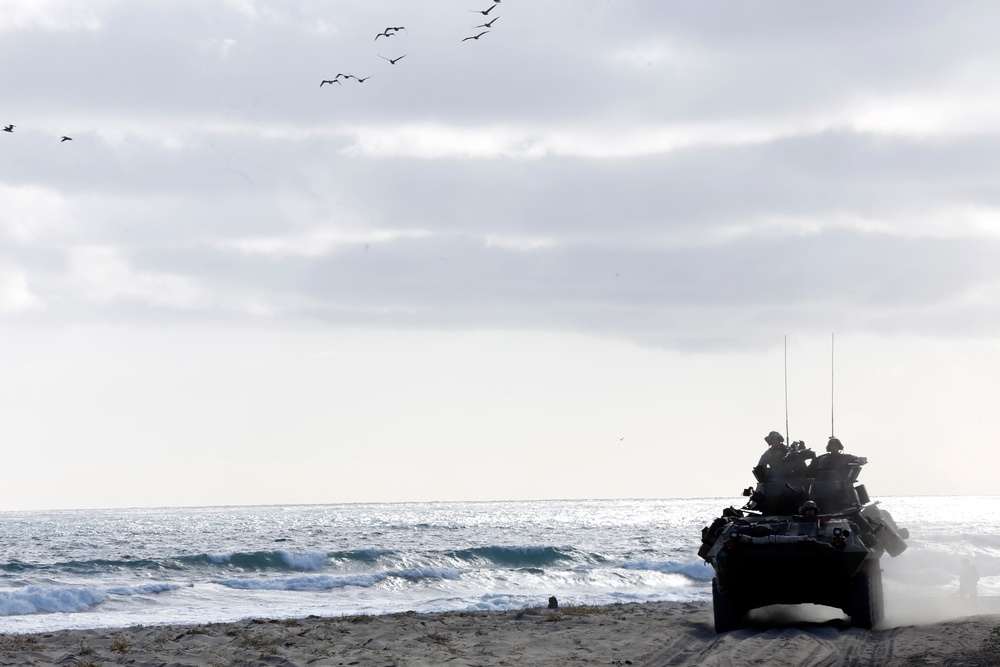 11th MEU Multi-objective Mechanized and Motorized Raid