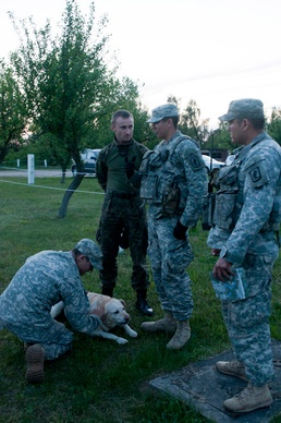 173rd Airborne paratroopers hold mortar training drills on Polish soil