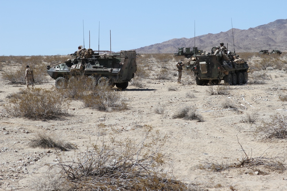 1st LAR participates in Desert Scimitar