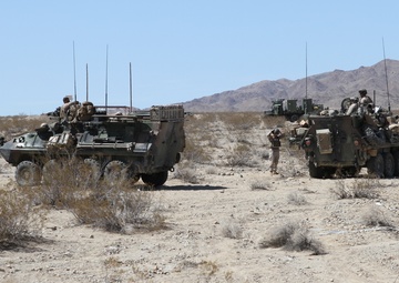 1st LAR participates in Desert Scimitar