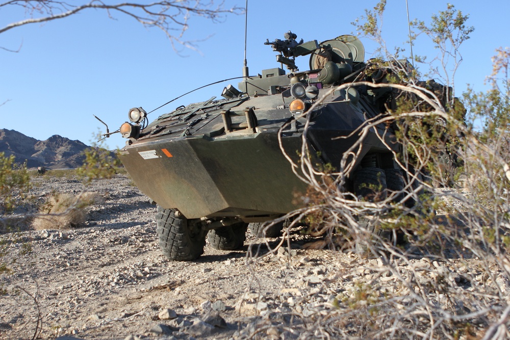 1st LAR participates in Desert Scimitar