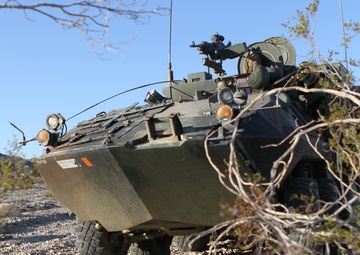 1st LAR participates in Desert Scimitar