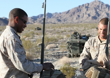 1st LAR participates in Desert Scimitar