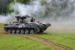 Romanian soldiers vote in EU elections during Combined Resolve II