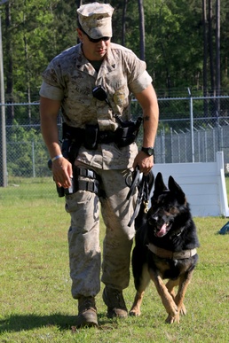 Working with the big dogs; Four-legged warrior, Marine share bond