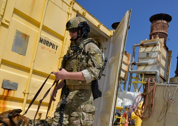 Coast Guard Maritime Security Response Team exercise