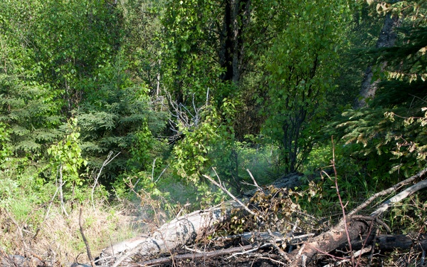 A wildfire flares up on JBER