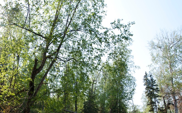 A wildfire flares up on JBER